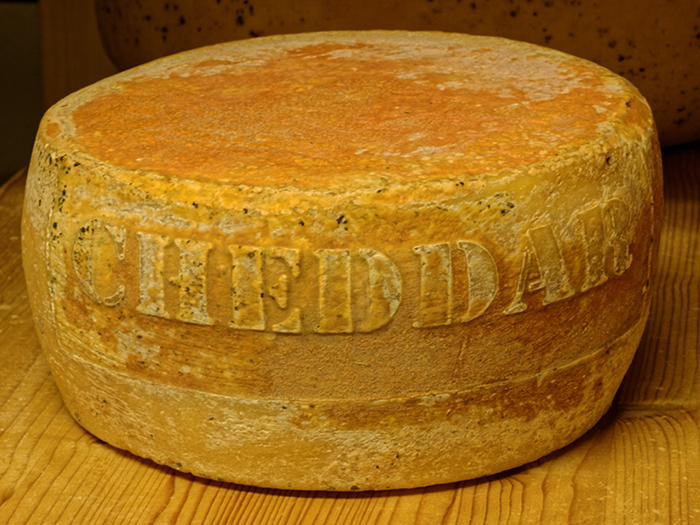 Cheddar