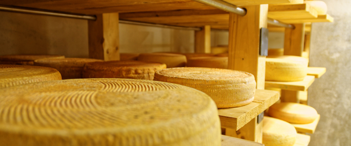 Käse im Regal